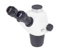 Stereozoom microscope